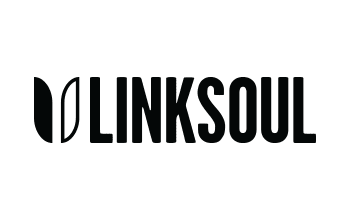 linksoul-black-repspark