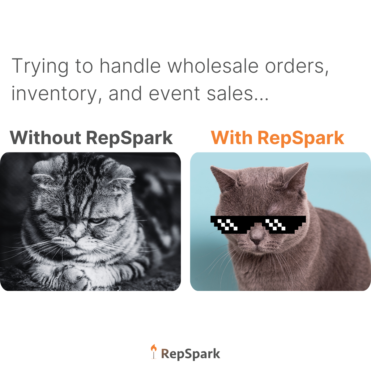 September Social - Meme Cool Cat with RepSpark