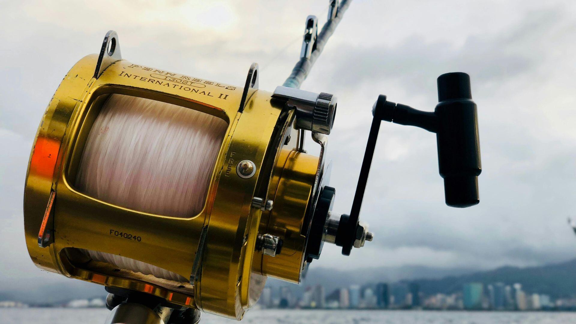 a close up shot of a fishing rod with water and skyline blurred in the background
